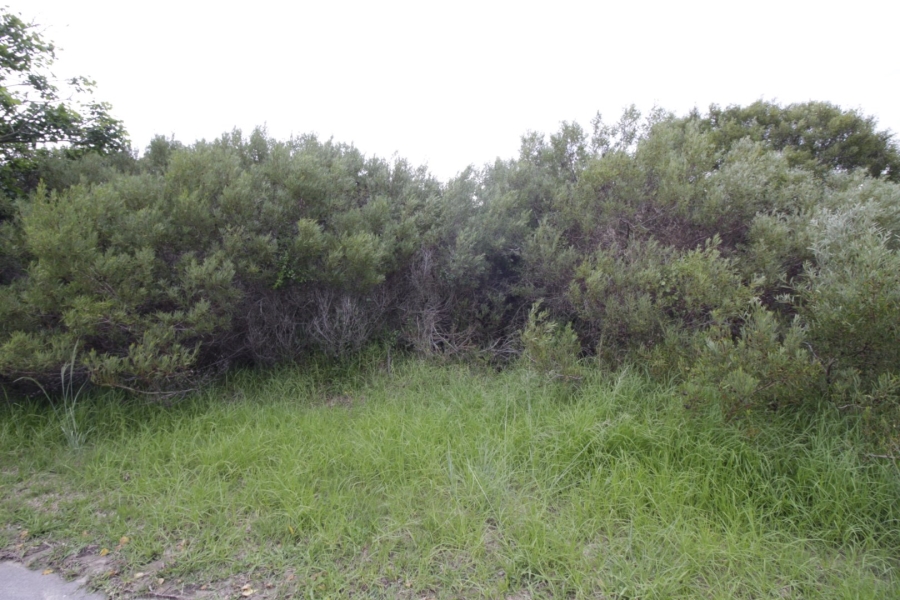 Commercial Property for Sale in Paradise Beach Eastern Cape